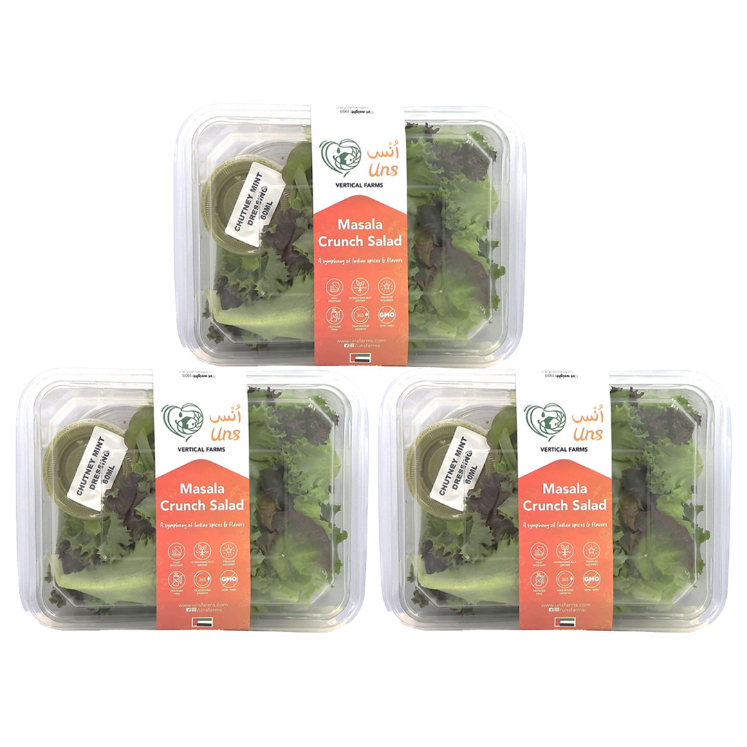 Masala Crunch Salad 190 gm Pack of - 3 by Rootz Organics