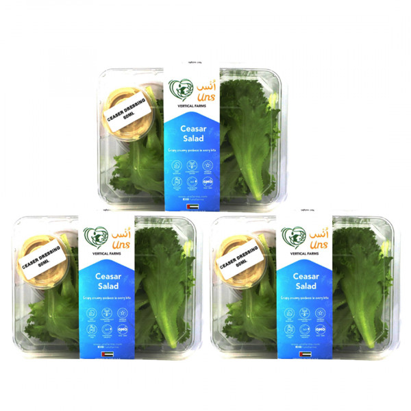 Image of Ceasars Salad 190gm ,Pack of - 3 by Rootz Organics
