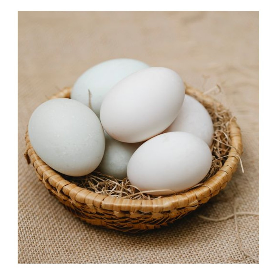 Organic Chicken Small Eggs (Sharjah Farm) 6pcs