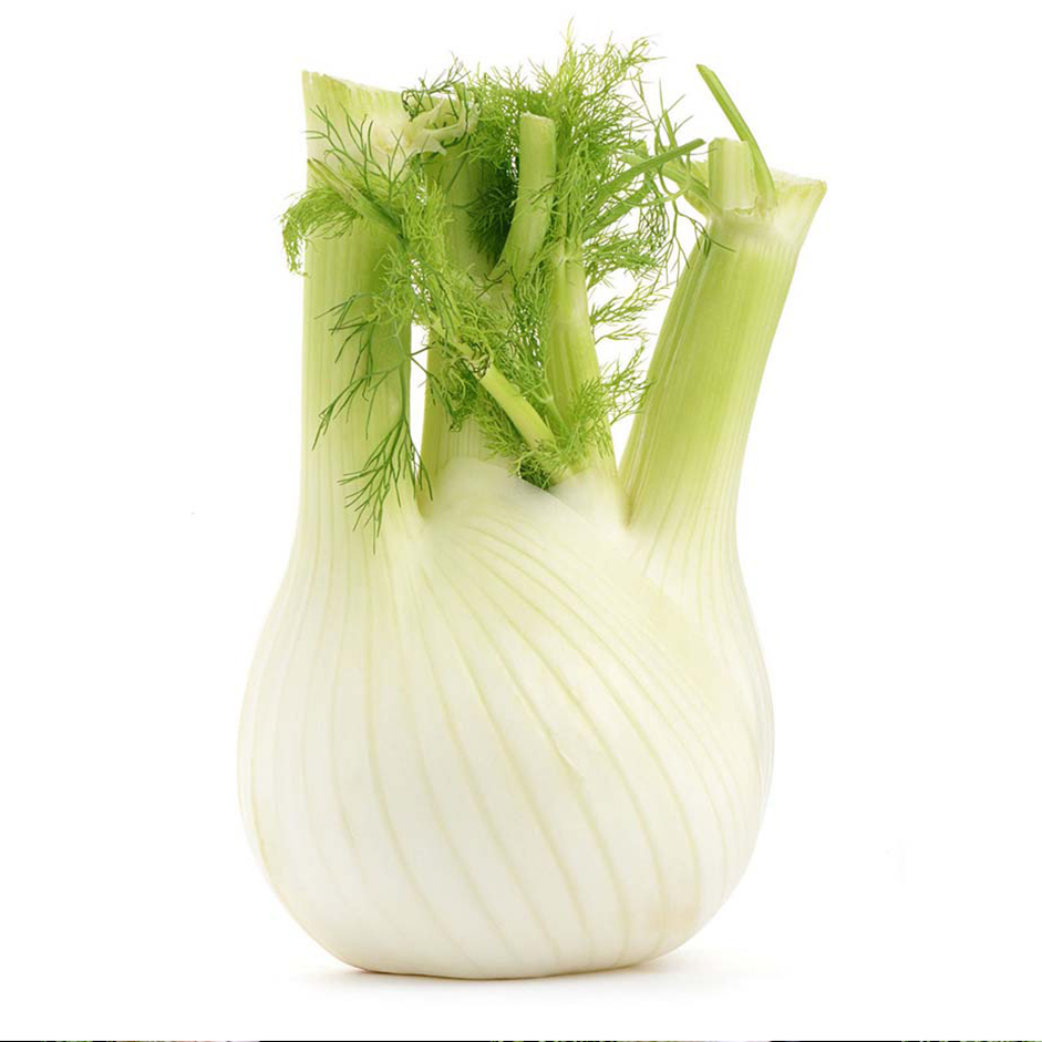 Rootz Organics Fennel 250g — Fresh Anise-Scented Fennel Bulb, Air-Flown from Holland
