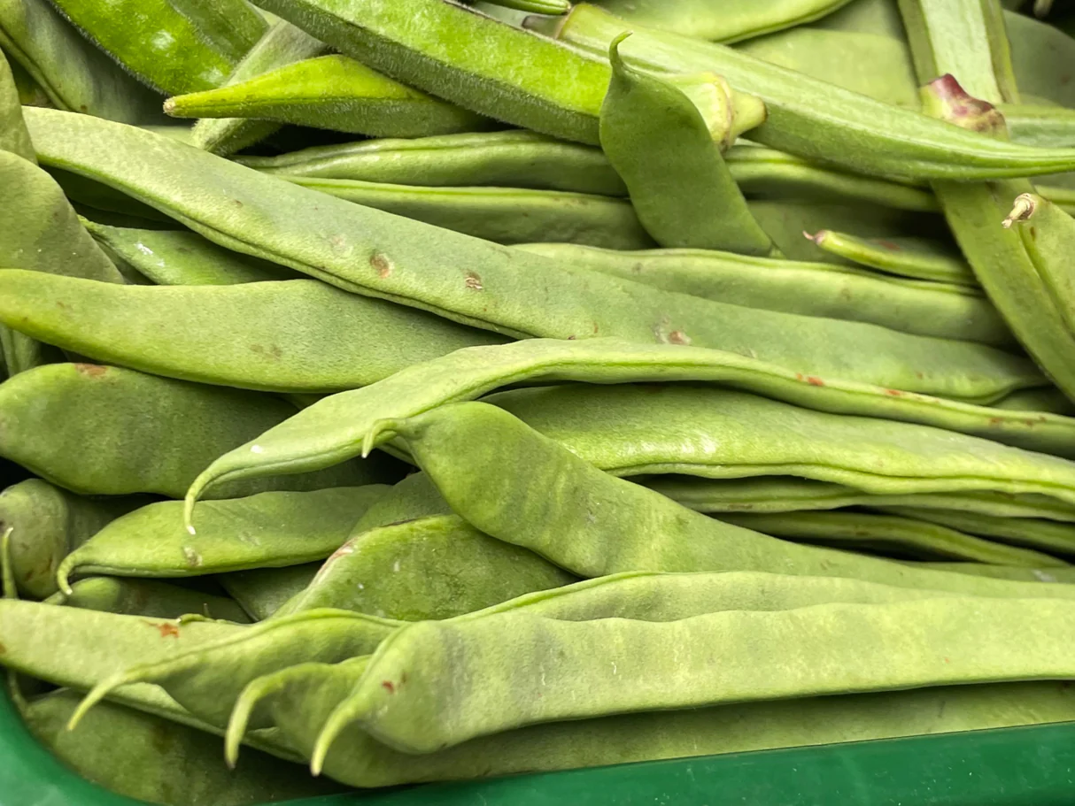 Rootz Organics Flat Beans 500g — Tender Helda Green Beans, Air-Flown from Kenya