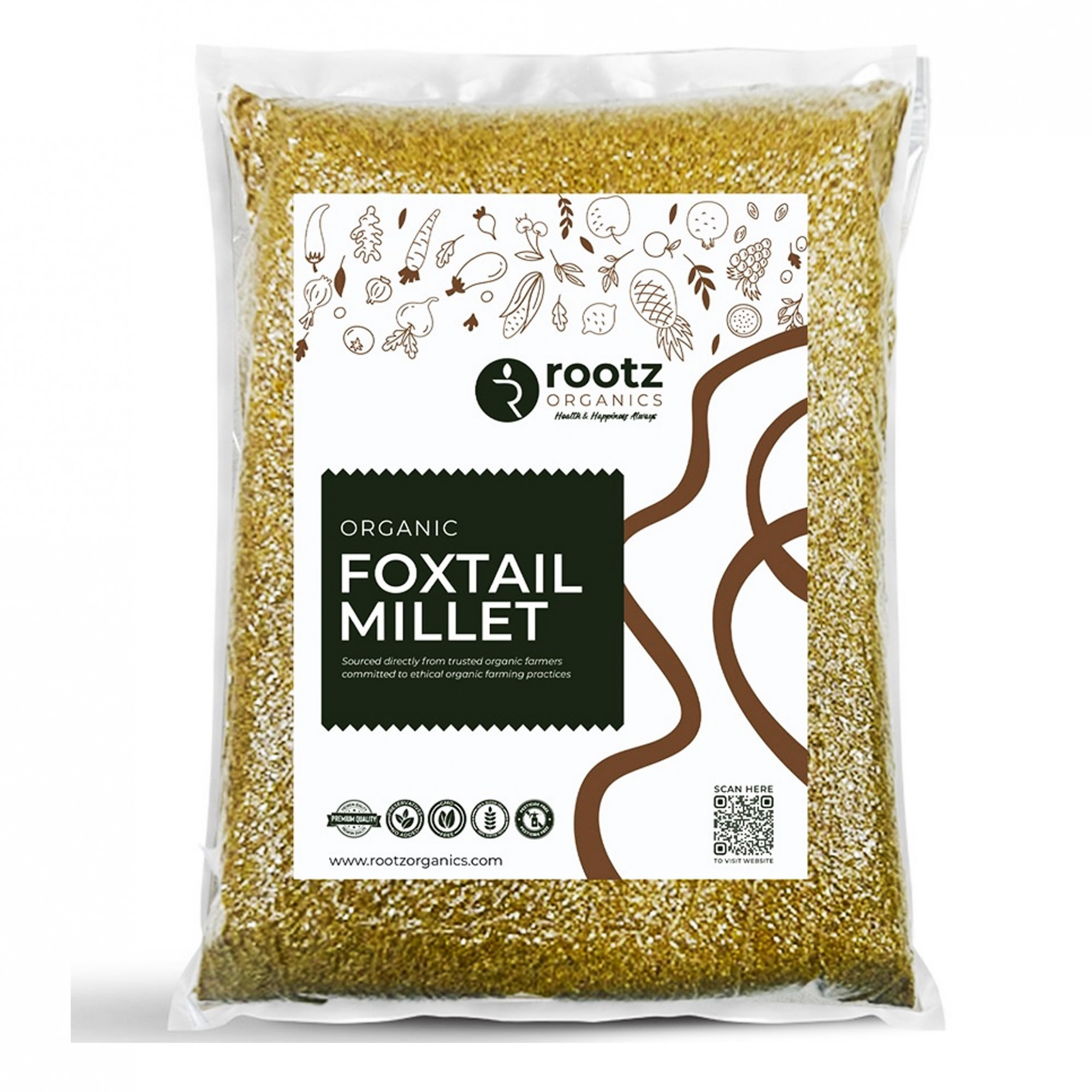 Foxtail Millet Bulk 3 KG