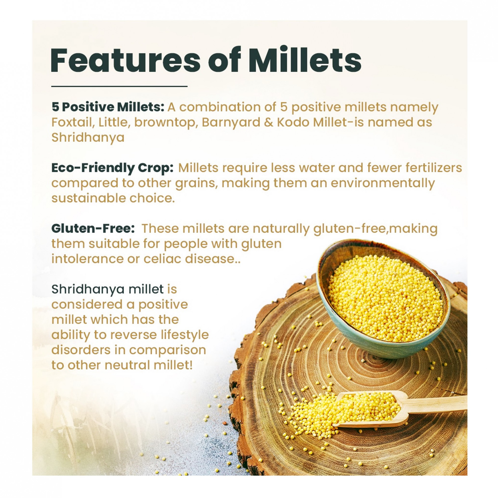 Foxtail Millet Bulk 3 KG