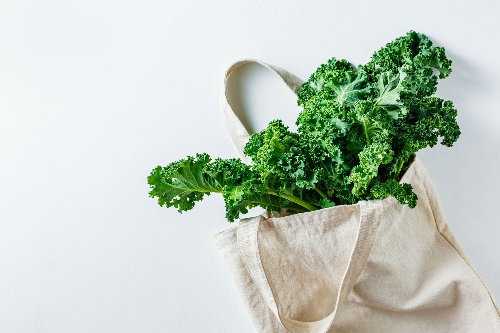 Curly Kale (eco-pack)- 125gm pack (eco-pack)