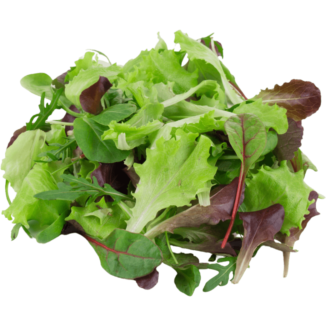MESCLUN MIX (SALAD) 125gm pack