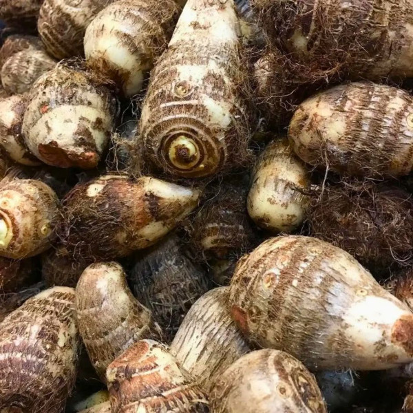 Image of Taro Root (Arvi / اروی) — The Gut-Friendly Starchy Vegetable | 250g