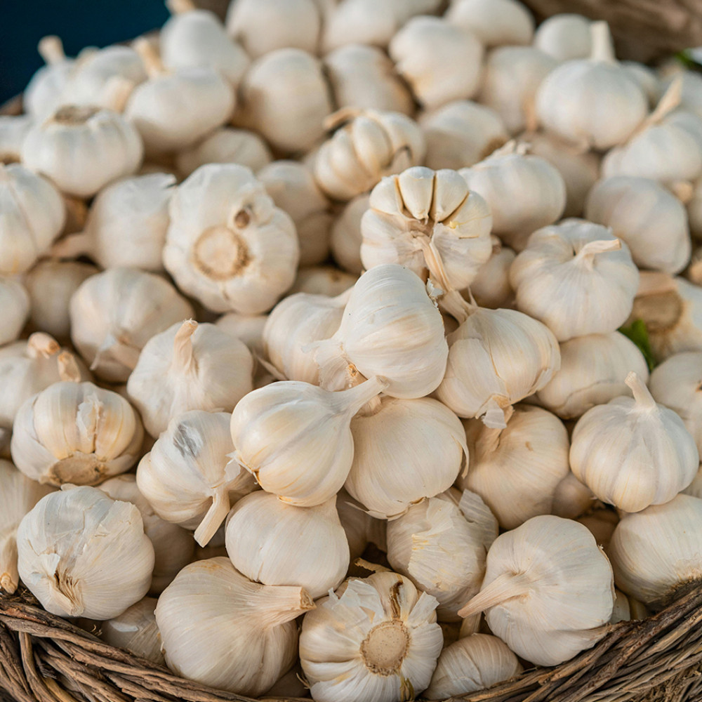 Organic Garlic  -250gm