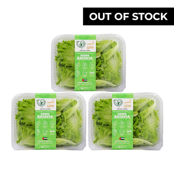 Image of Green Batavia Lettuce 100gm , Pack of - 3  by Rootz Organics