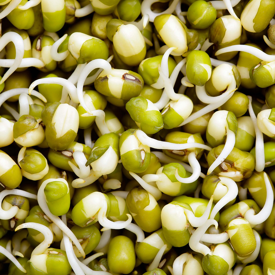 Rootz Fresh Green Gram Sprouts 100g – Protein Rich Moong Sprouts for Salads & Healthy Meals