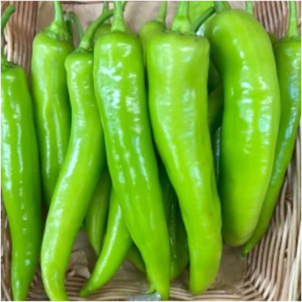 Image of Green Pepper Long 500g