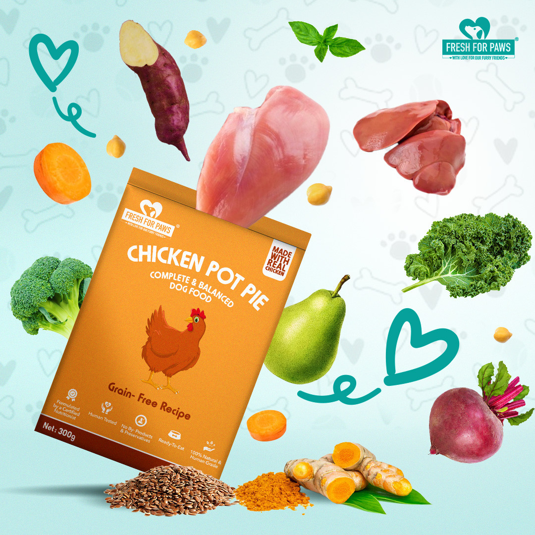 Chicken Pot Pie 100 gram (Pack of 2)