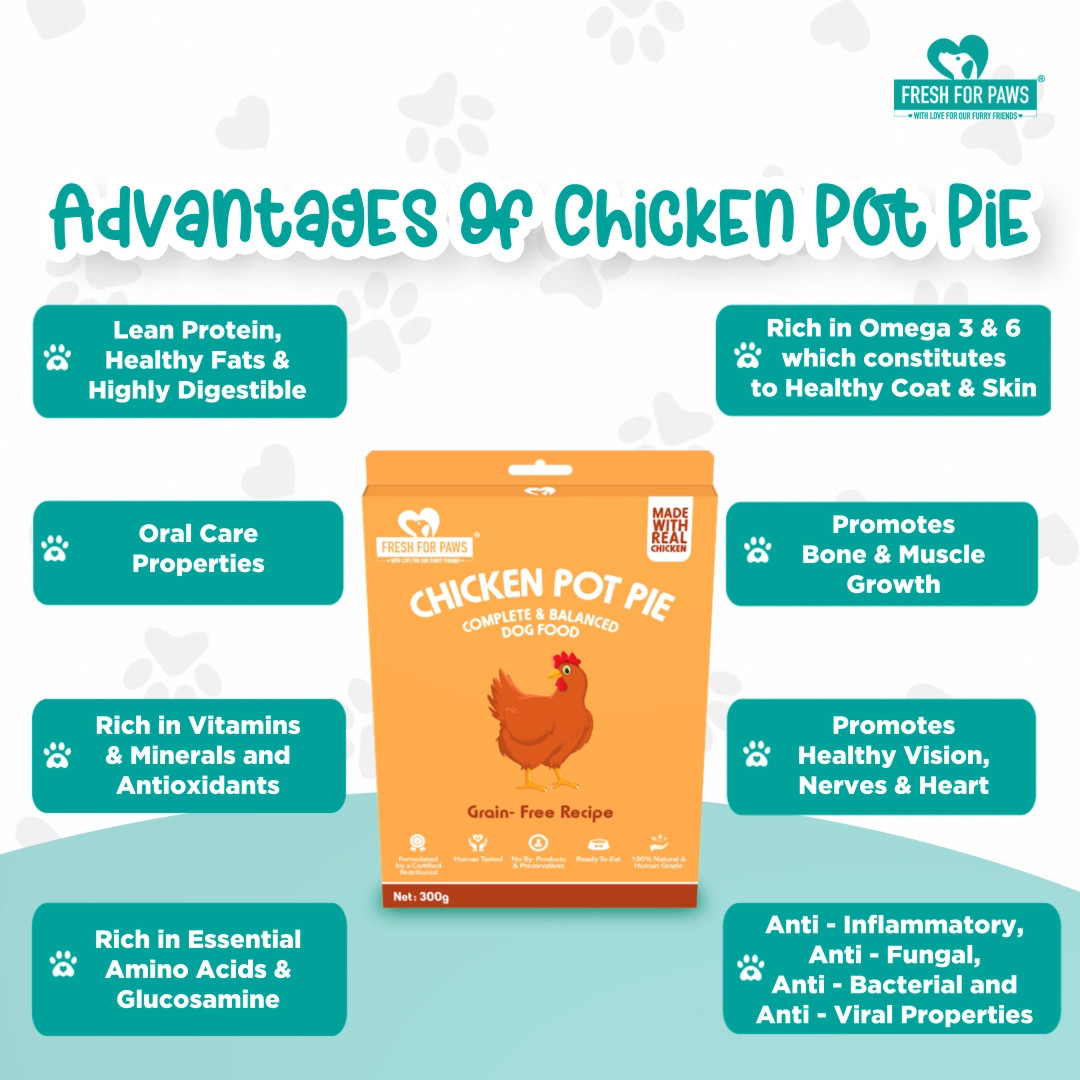Chicken Pot Pie 100 gram (Pack of 2)