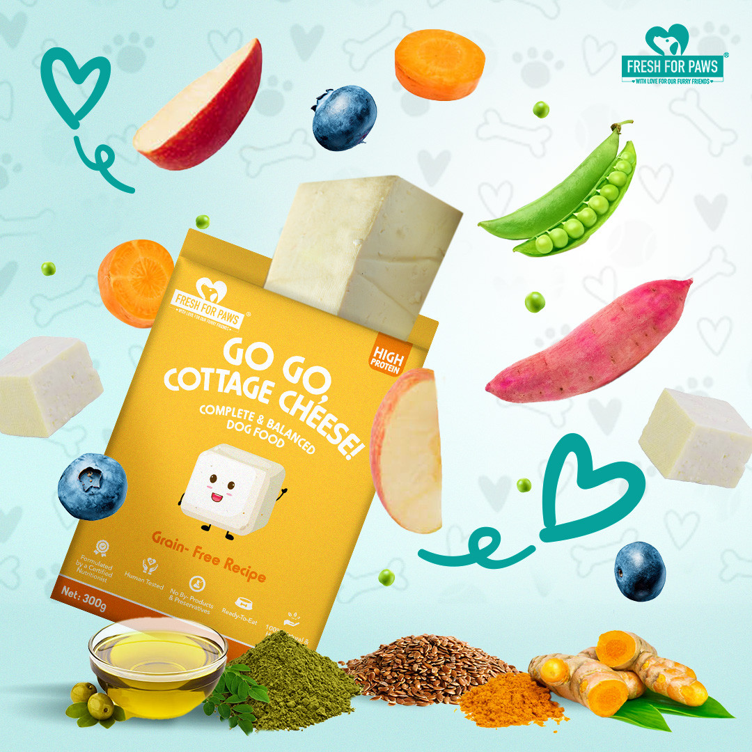 Go, Go, Cottage Cheese 300 gram (Pack of 2)