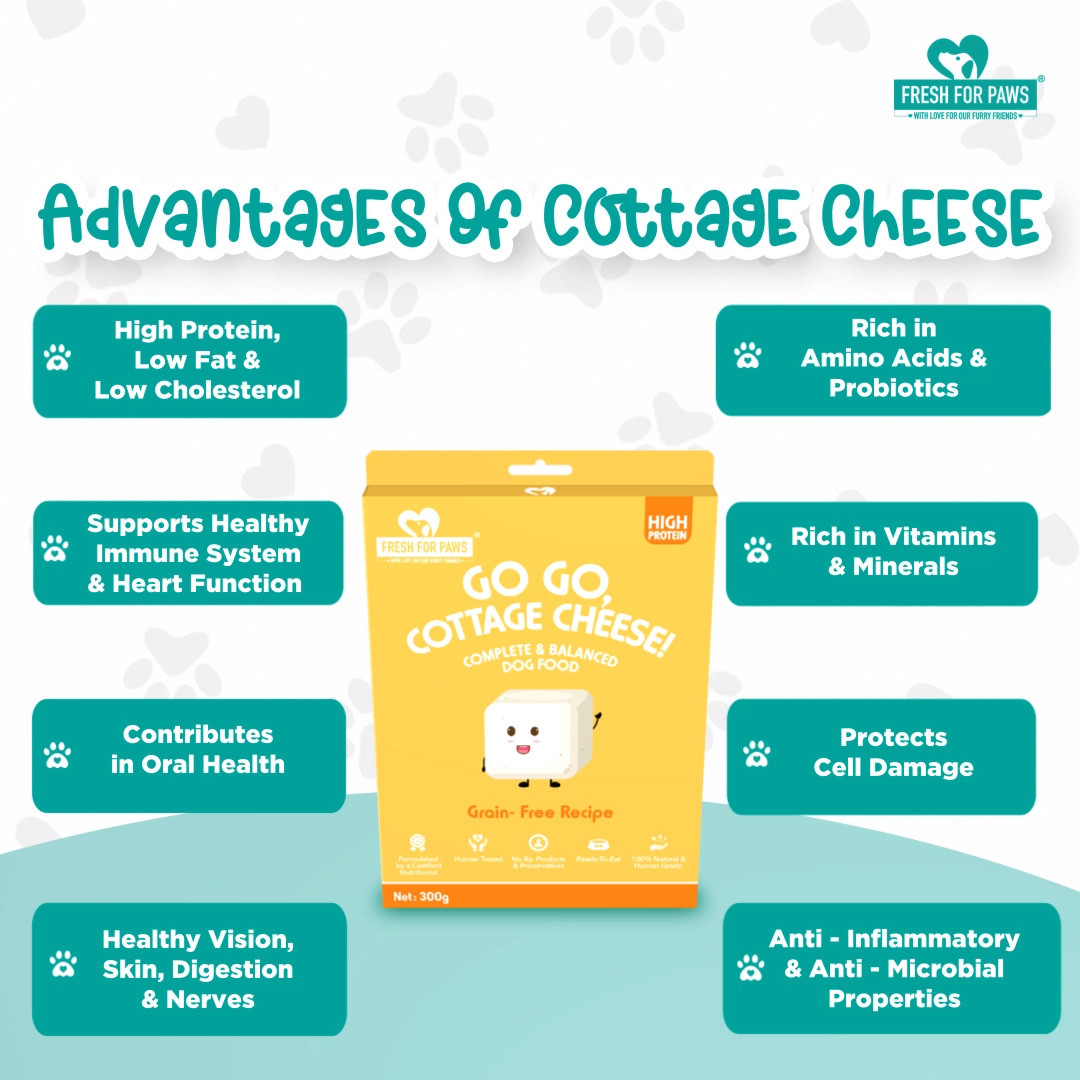 Go, Go, Cottage Cheese 300 gram (Pack of 2)