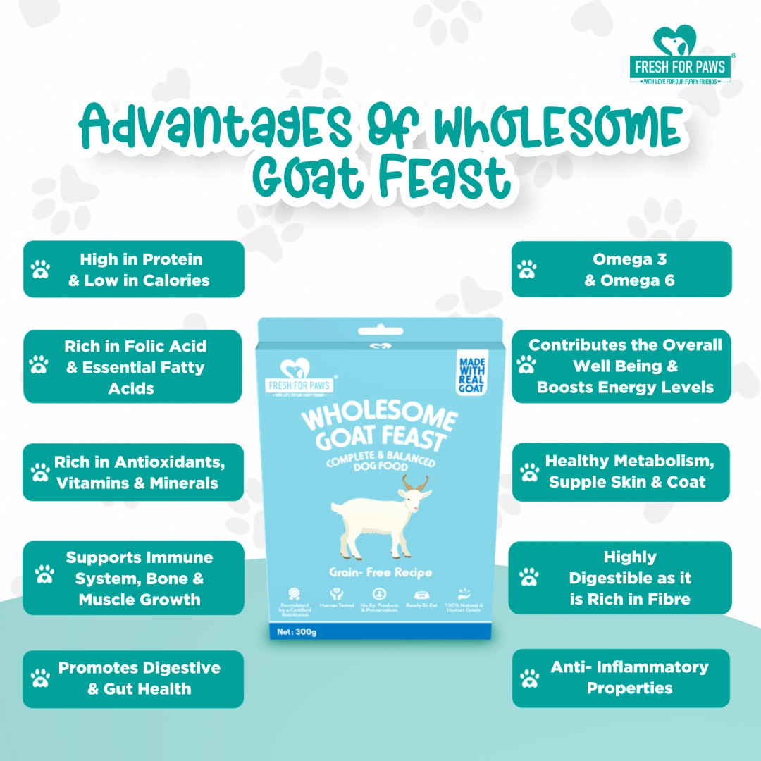 Wholesome Goat Feast 100 gram (Pack of 2)