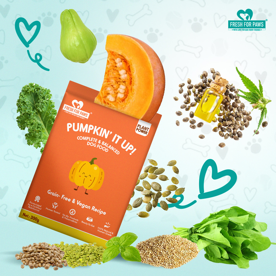 Pumpkin' It Up 300 gram (Pack of 2)
