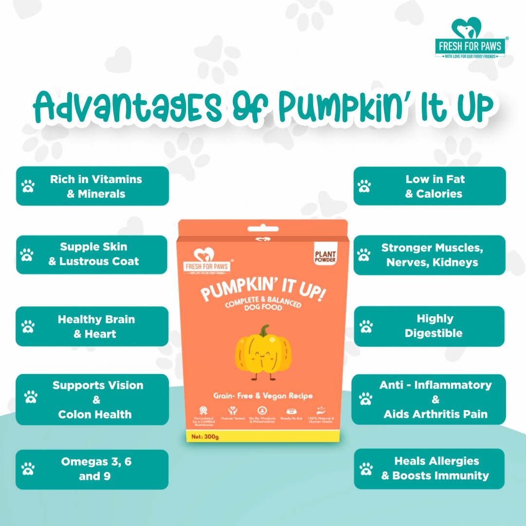 Pumpkin' It Up 300 gram (Pack of 2)
