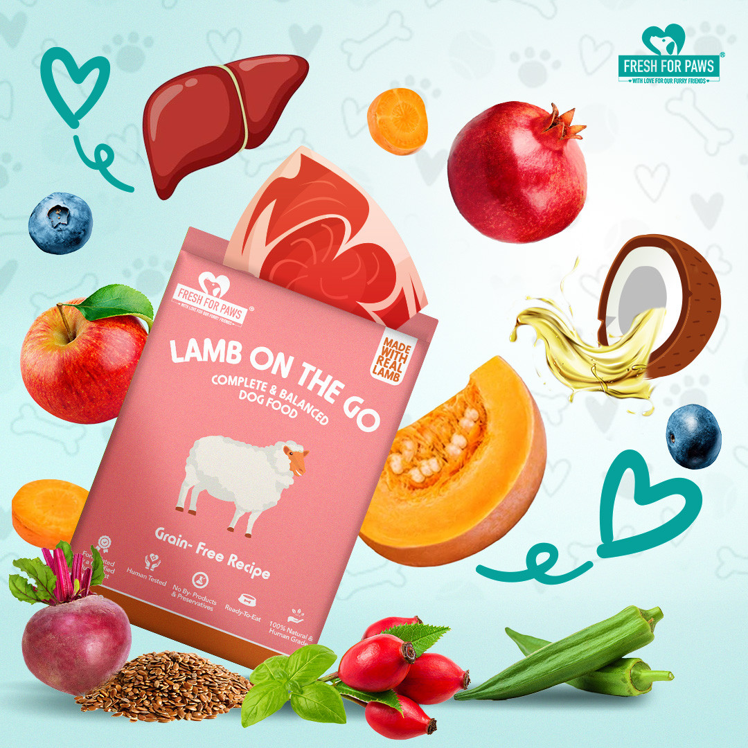 Lamb On The Go 100 gram (Pack of 2)
