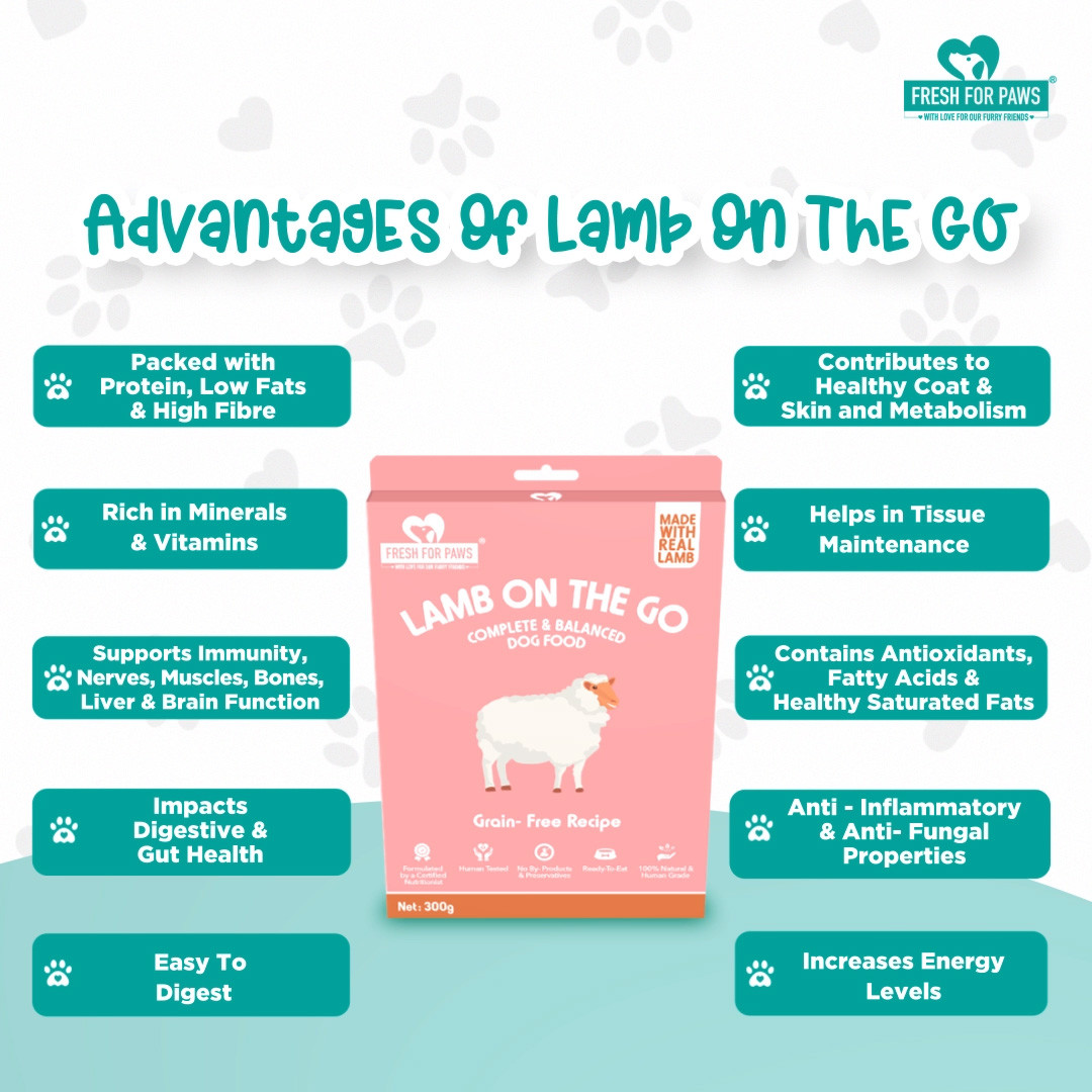 Lamb On The Go 100 gram (Pack of 2)