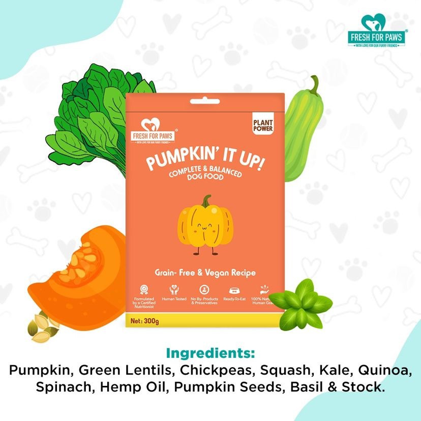 Pumpkin' It Up 300 gram (Pack of 2)