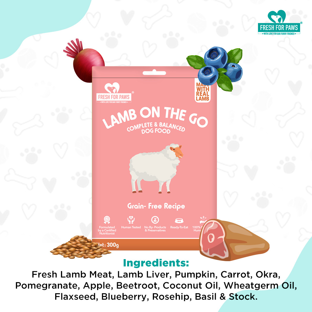 Lamb On The Go 100 gram (Pack of 2)