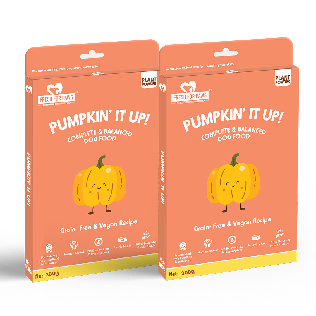 Pumpkin' It Up 300 gram (Pack of 2)