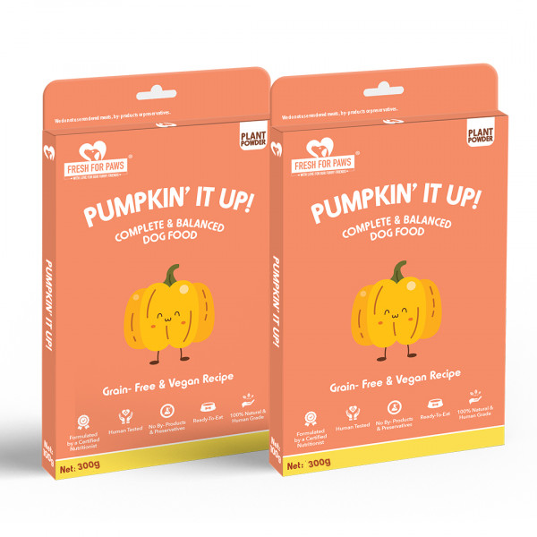 Image of Pumpkin&#039; It Up 300 gram (Pack of 2)