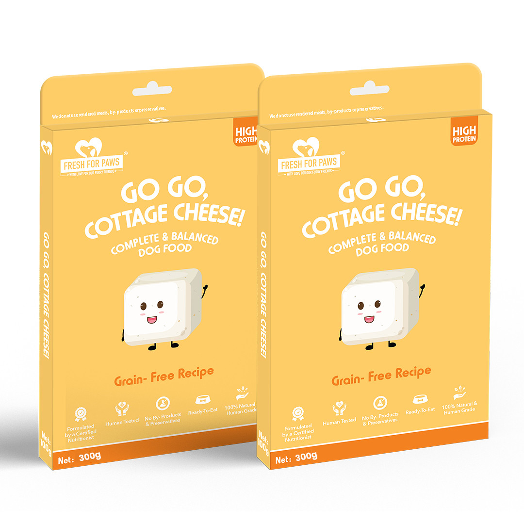 Go, Go, Cottage Cheese 300 gram (Pack of 2)