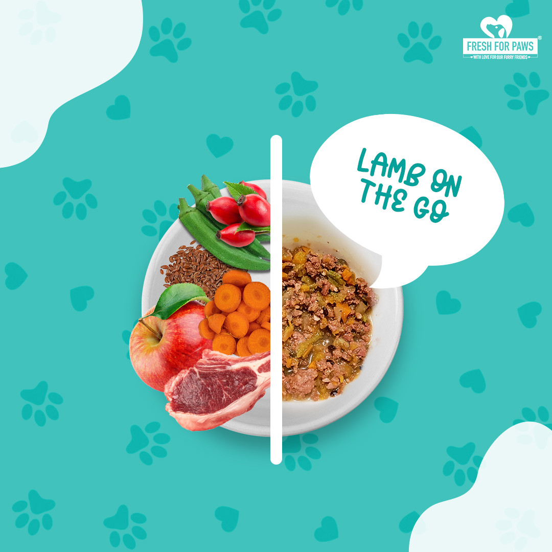 Lamb On The Go 100 gram (Pack of 2)