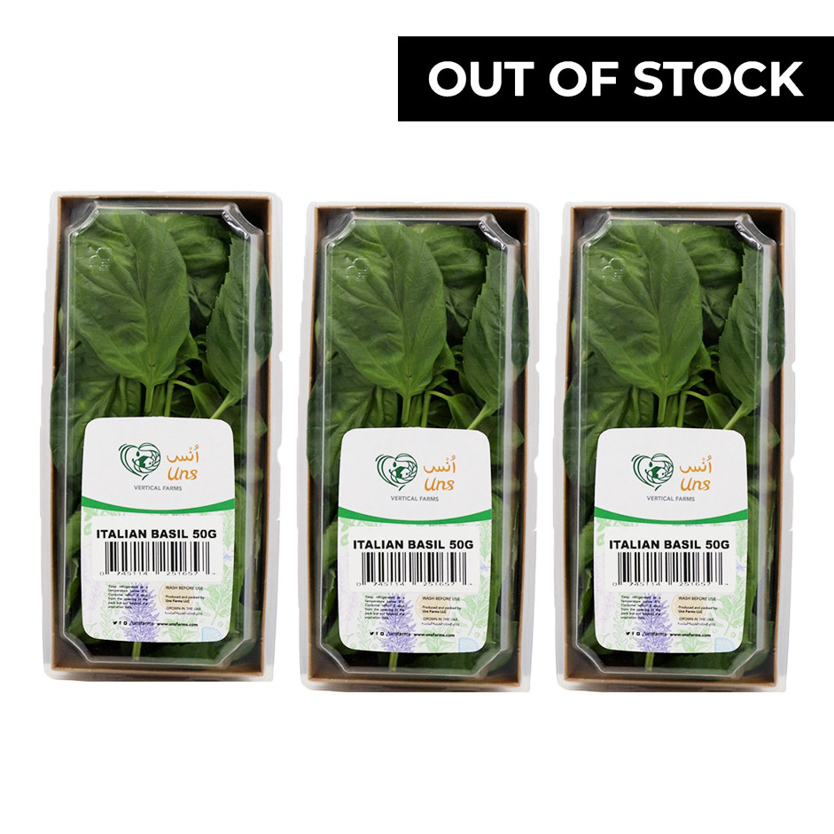 Italian Basil 50gm ,Pack of - 3 by Rootz Organics