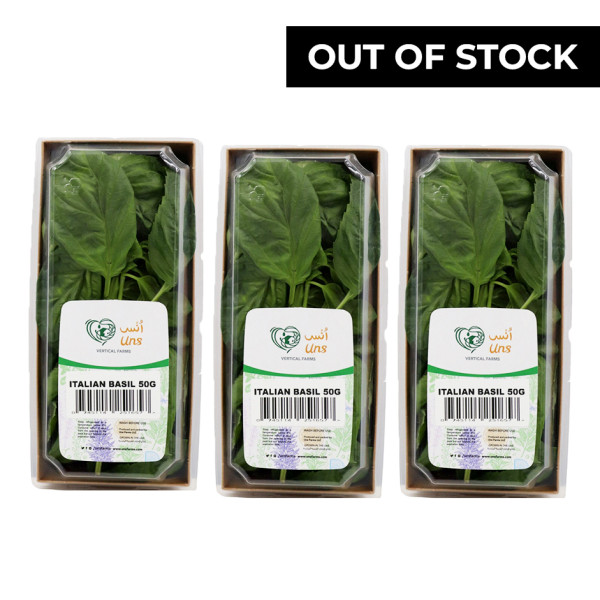 Image of Italian Basil 50gm ,Pack of - 3  by Rootz Organics