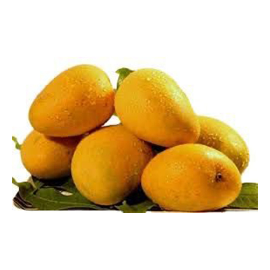 Kesar Mangoes - Box of 12