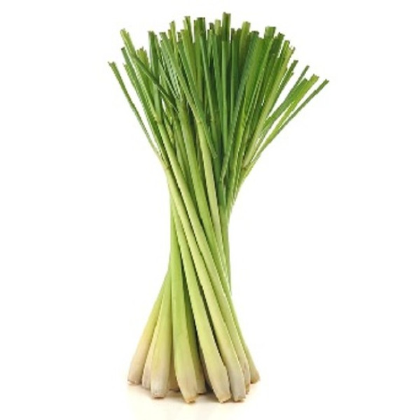 Image of Rootz Organics Lemongrass 100g — Fresh Aromatic Lemongrass Stalks, Air-Flown from India