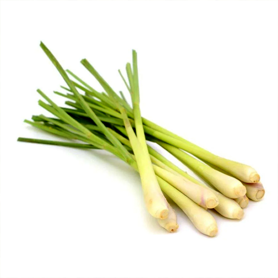Rootz Organics Lemongrass 100g — Fresh Aromatic Lemongrass Stalks, Air-Flown from India