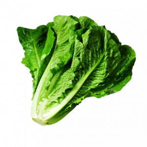 Image of Lettuce Romain 1kg