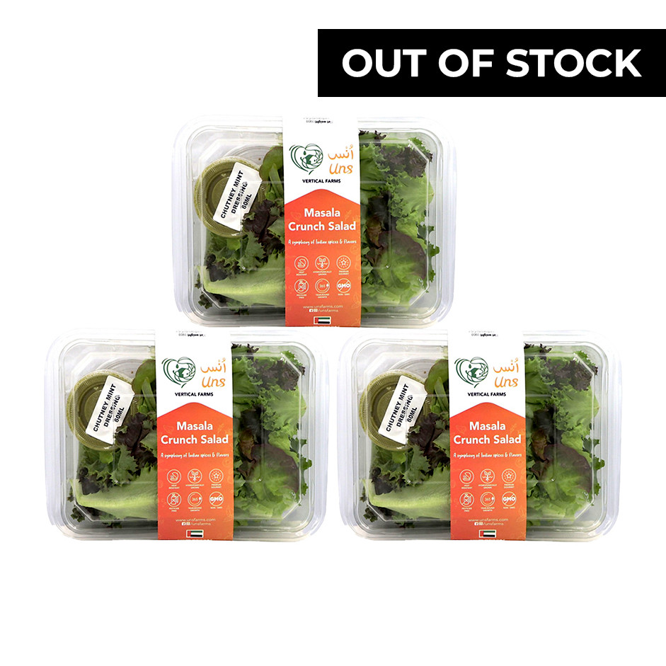 Masala Crunch Salad 190 gm Pack of - 3 by Rootz Organics