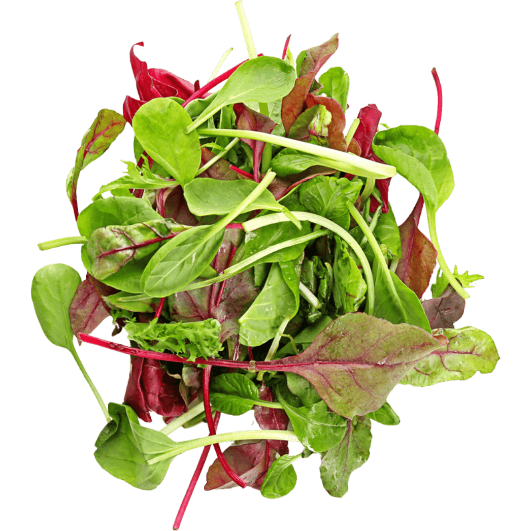 MESCLUN MIX (SALAD) 125gm pack