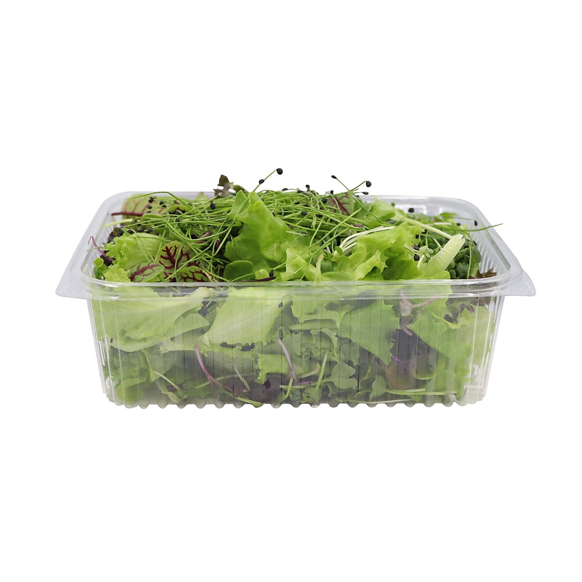 Super Micro Salad 100gm , Pack of - 3 by Rootz Organics