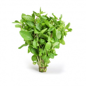 Image of Mint 100g