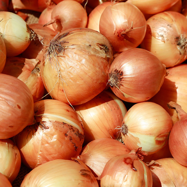 Image of Onion Yellow 500gm