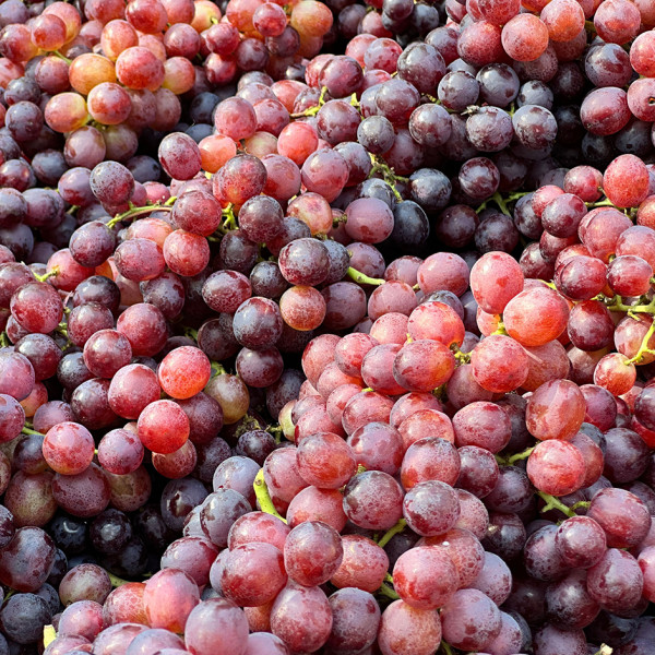 Image of Organic Red Grapes – Italy 500g | Fresh Italian Grapes