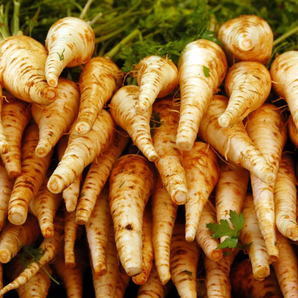 Image of Parsnips — Scrub, Don’t Peel. Roast, Don’t Boil. | 200g