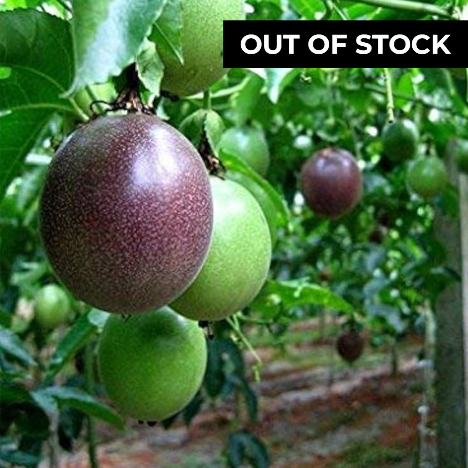 Organic Passion Fruit 250g