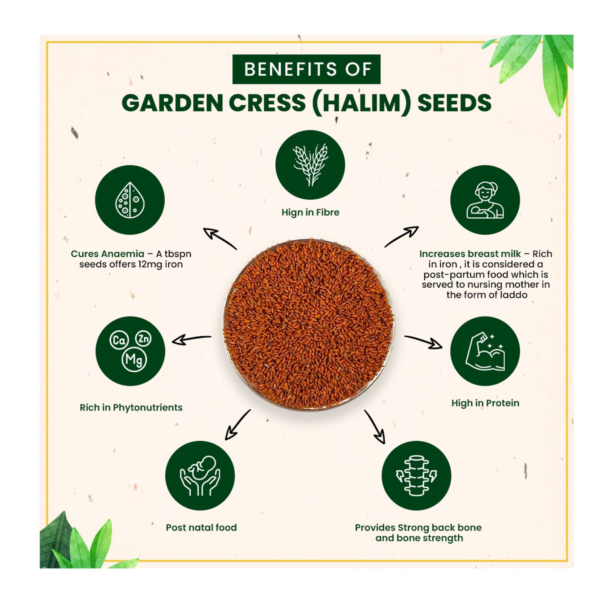 Garden Cress Seed (Alvi / Halim / ChandraShoor) - 100g
