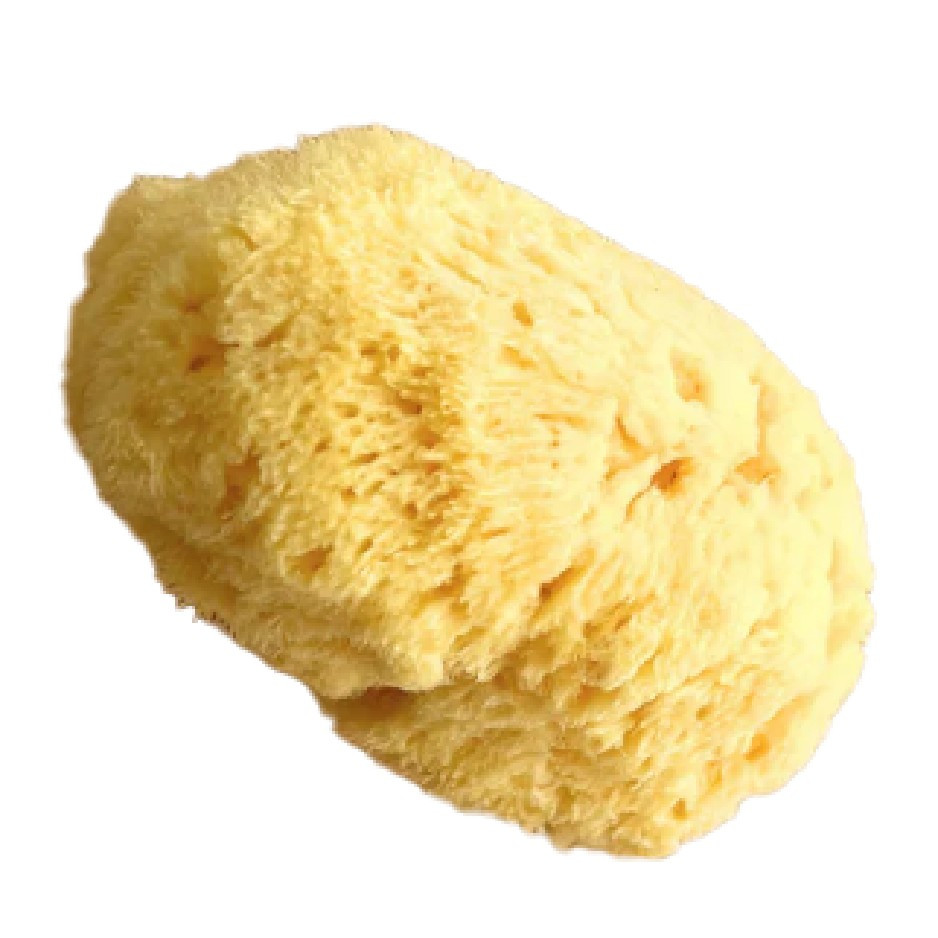 Natural Sponge 9-10 cm