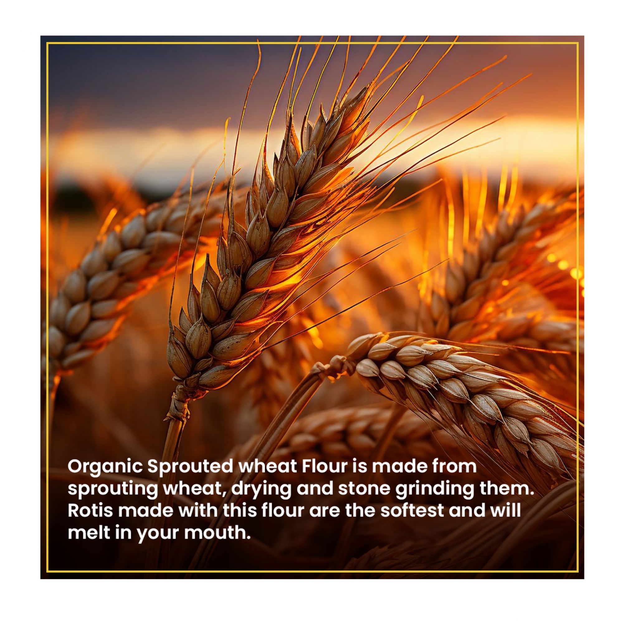 Organic Sprouted Wheat Flour (2kg)