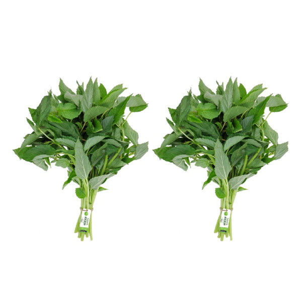 Image of Mustard Leaves (Sarso Ka Saag) Bunch 200g  (Pack of 2)