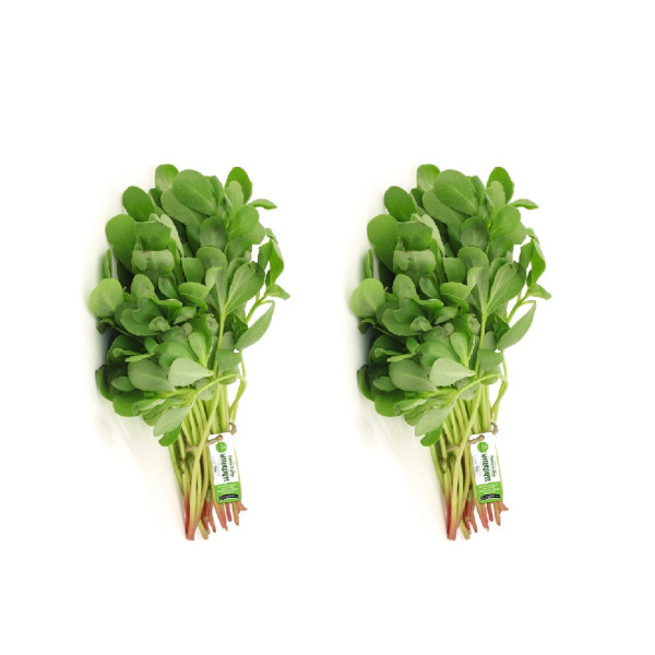 Image of Watercress (Bakla, Barbeer, Pargo) Bunch 100g  (Pack of 2)