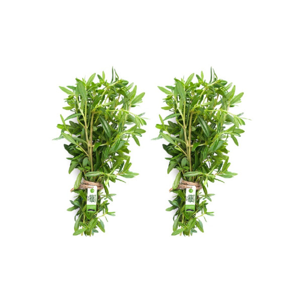 Image of Zaatar Bunch 200g (Pack of 2)