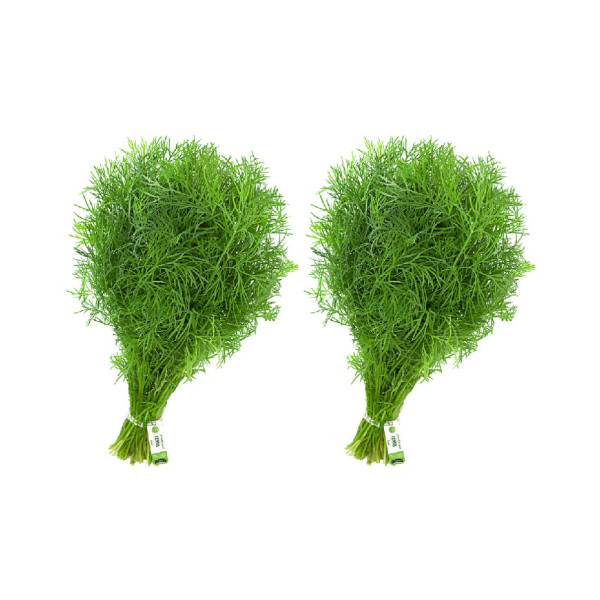 Image of Fennel Leaves 200g (Pack of 2)